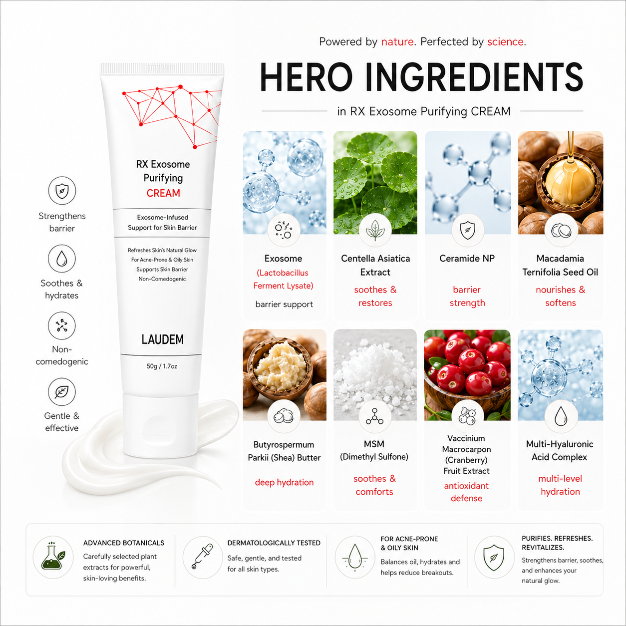 LAUDEM RX Exosome Purifying Cream 50g | Barrier Support Moisturizer